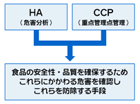 HACCPとは